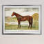 « équin sketch xxvii », impression-28658815