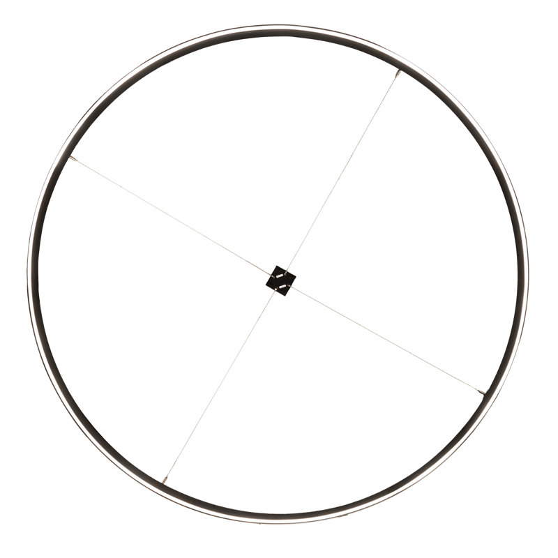 Black and White Acrylic LED Ring Pendant Light