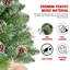 Arbre de Noël de table 2 pi avec aiguilles de pin, 30 lumières à DEL blanc chaud, minuterie, fonctionnement à piles, 52 pointes blanches brossées et pommes de pin