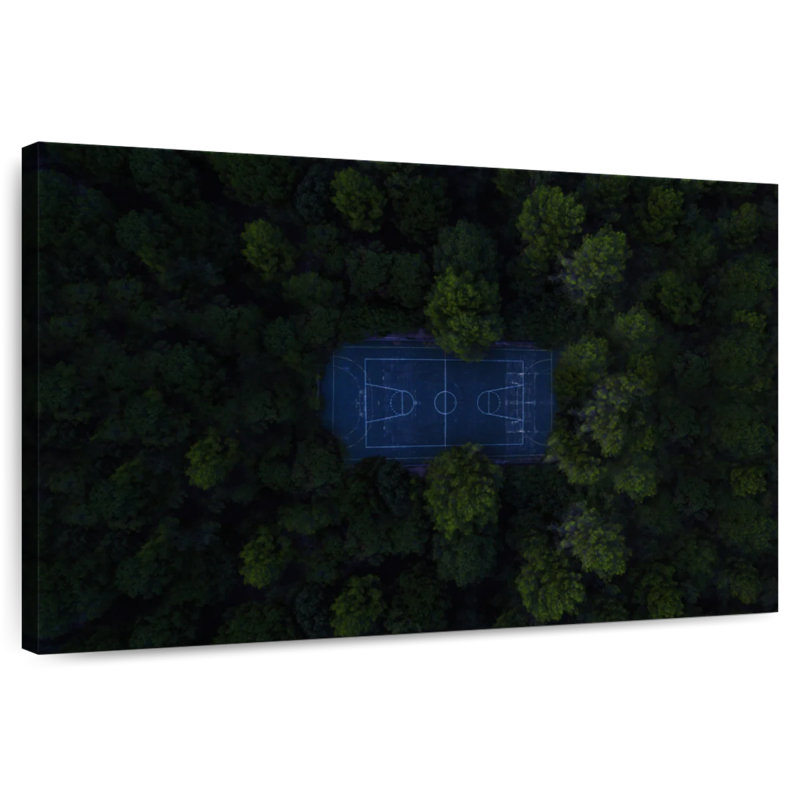 Terrain de basketball Sireci Forest, H 26 po x l 39 po