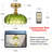 Junathean Flush Mount Ceiling Light-1594158618