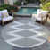 Machine Washable Indoor/Outdoor Chayden ACN1016 Rug