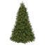 LED Deluxe Belgium Tree