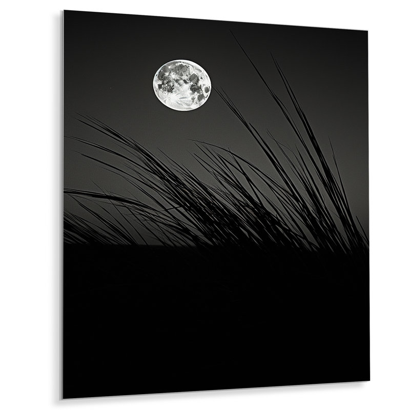 «Ivory Isolation Moonlight» sur métal, H 32 po x l 24 po x P 1 po