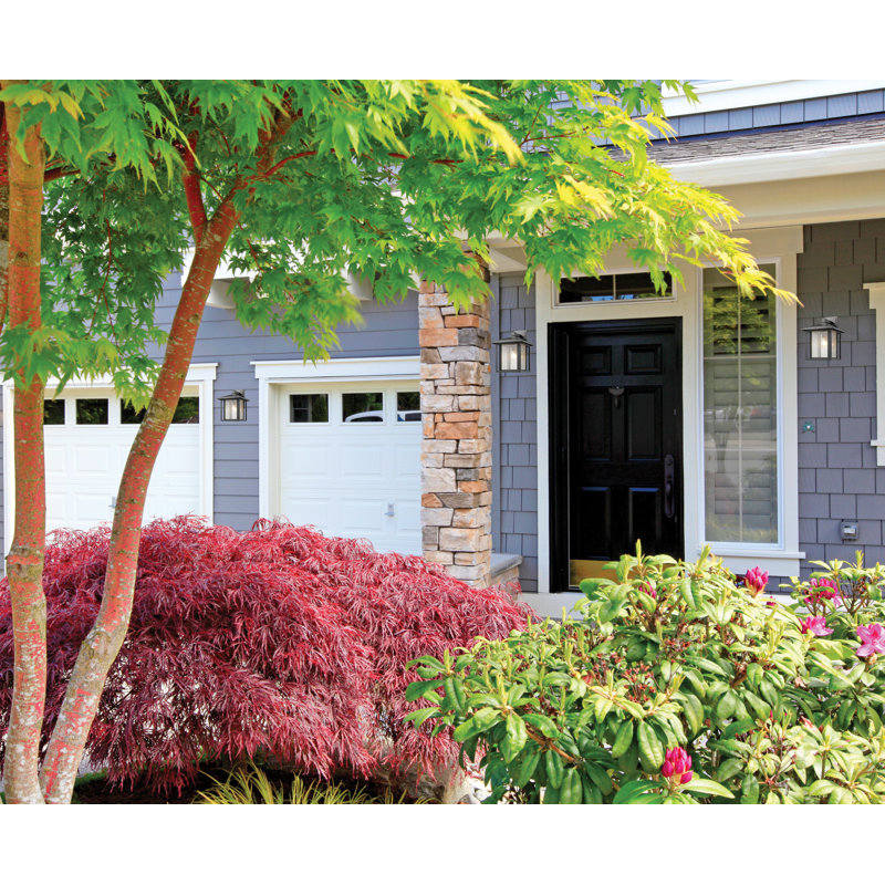 Iwan Glass Wall Light, Black, 15.25" H x 12" W x 11" D