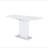 AUDI DINING TABLE