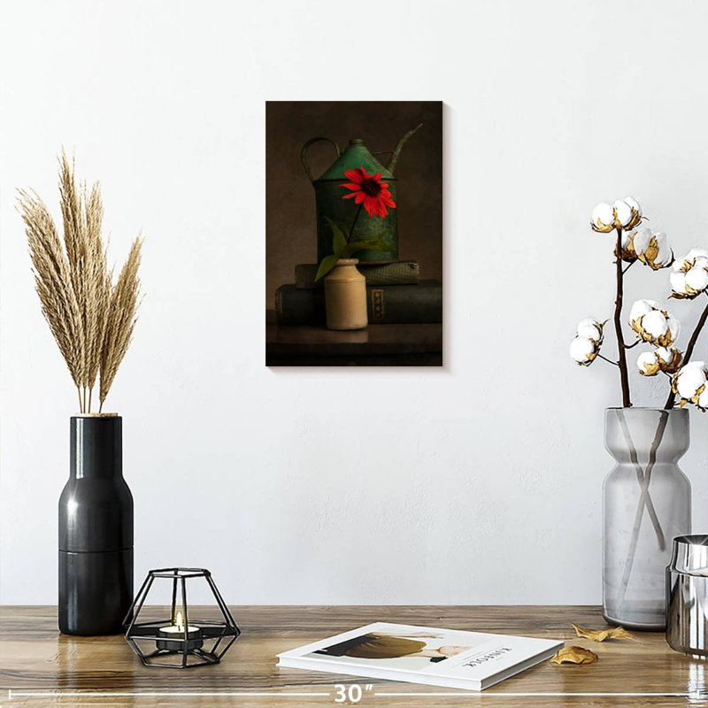 Harnek Rustic Red Coneflower, 12" H x 8" W