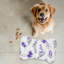 Tapis d'alimentation en forme d'os 1 pièce Purple Bliss-101634723