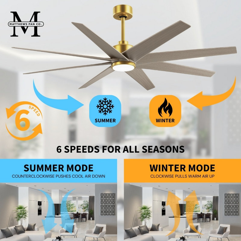Ariella - Eight Blade Ceiling Fan - Integrated LED - Matte Black Finish - Matte White Blades, Gray Ash Tone, Brushed Brass