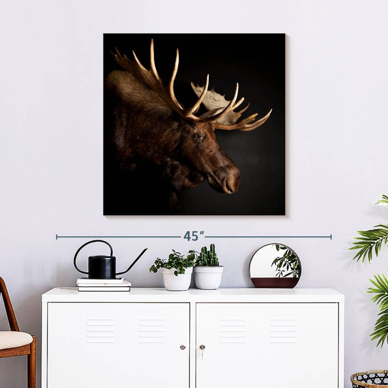 Brampt Antlered Moose, 30" H x 30" W