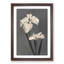 White Iris Flower by Kazumasa Ogawa - Framed Print-55612527-55612528