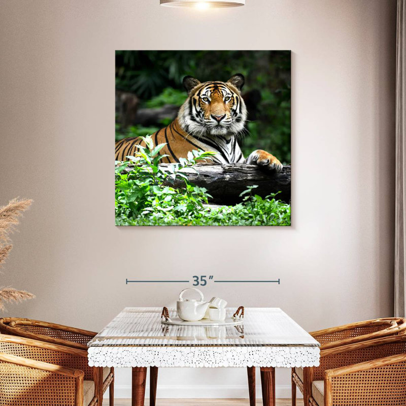 Brampt Resting Bengal Tiger, 39" H x 39" W