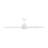 Lise 60'' Ceiling Fan-1505690343