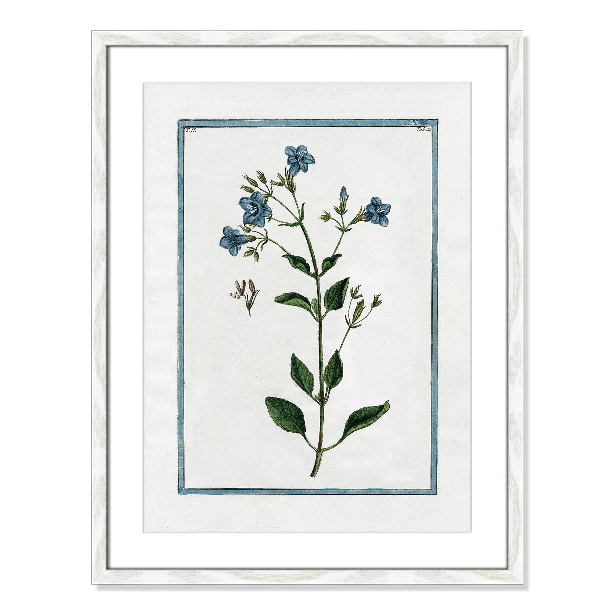 Shabby Elegance Botanical II - Framed Art, 17" W x 23" H, White Framed