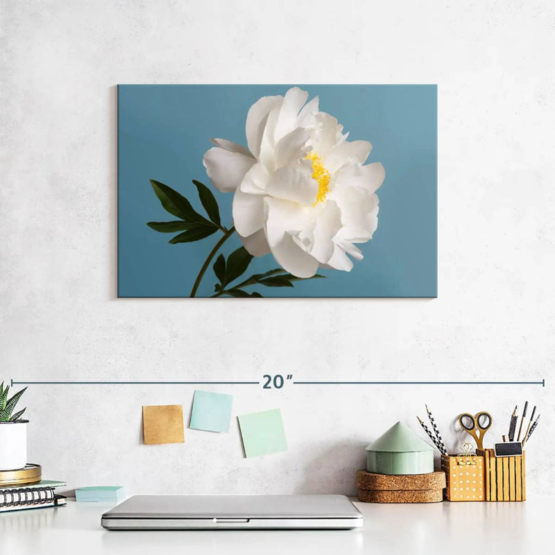Fleur de pivoine blanche Harnek
