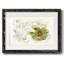 Passionflower II - impression d'un cadre photo-1618815627-1618815626