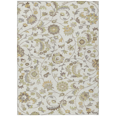 Machine Washable Indoor/Outdoor Chayden ACN1006 Ivory Rug