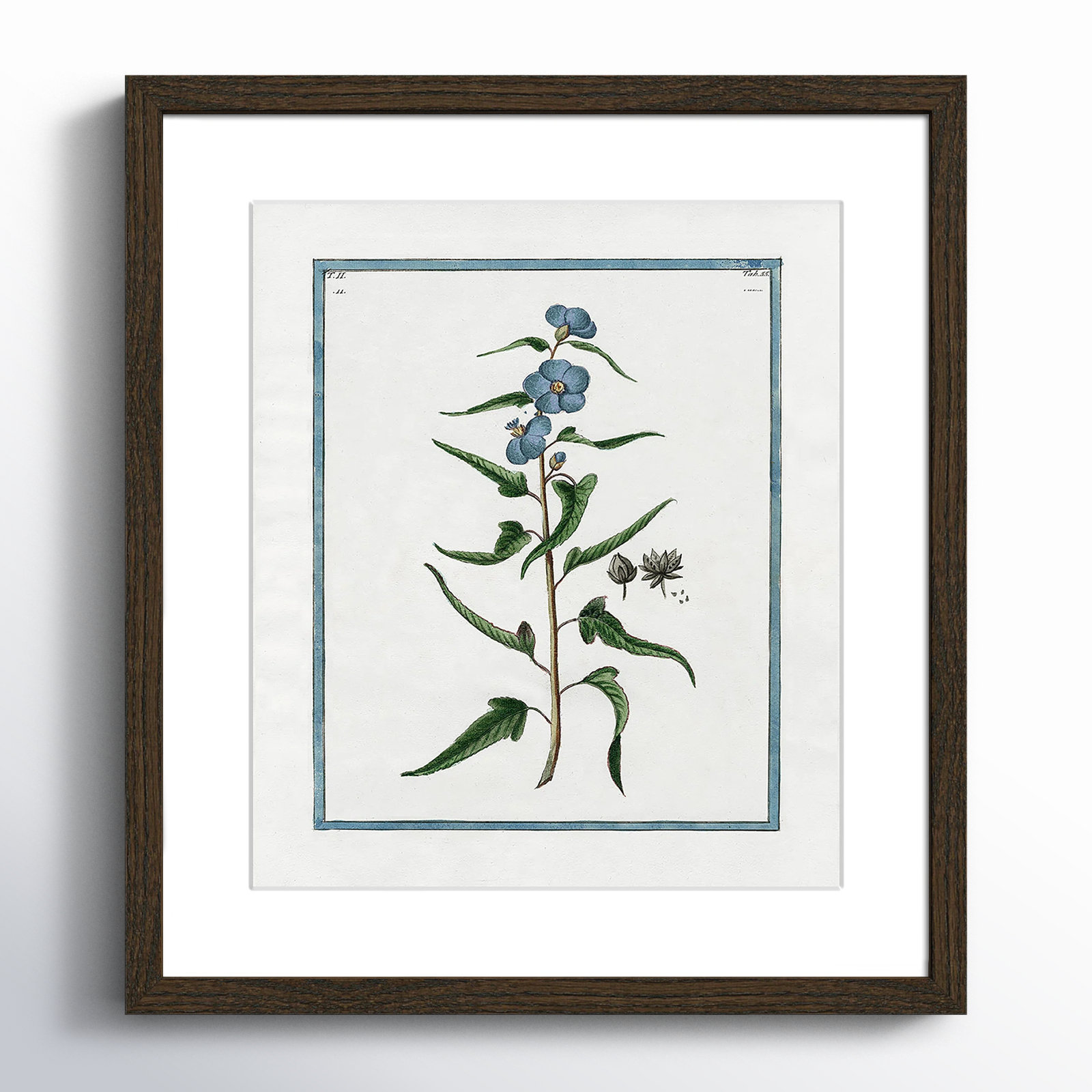 Shabby Elegance Botanical I - Framed Art Full Bleed, 13" W x 15" H, Walnut Framed