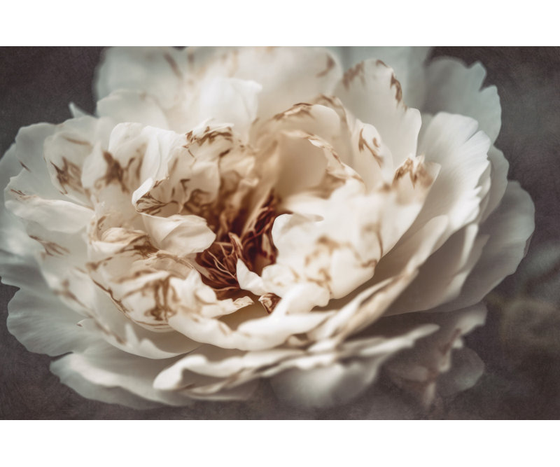 Wrapped Canvas Print, 50.8 cm H x 76.2 cm W