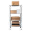  50" H x 23.25" W x 13.31" D 4 Tier Storage Rack