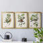 Oiseau antique, botanique et œuf I - ensemble de 3 peintures sur toile encadrées-1128397847-1128397846