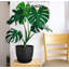 Pot Planter-318693474