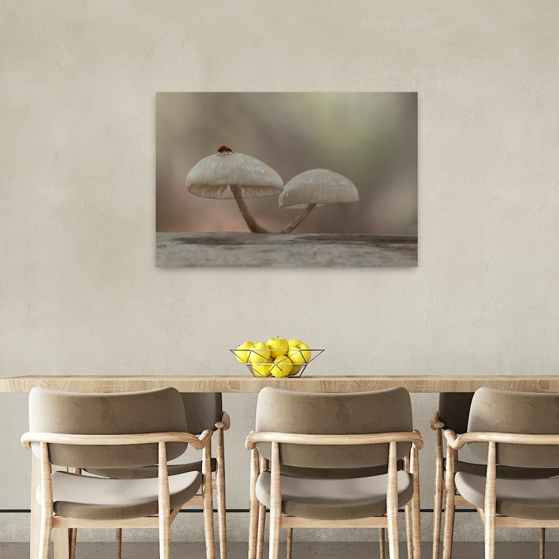 Ladybug On Mushroom Delicate Organic Peaceful Ladybug Forest Nature Wall Art Print by Daan De Vos - Print
