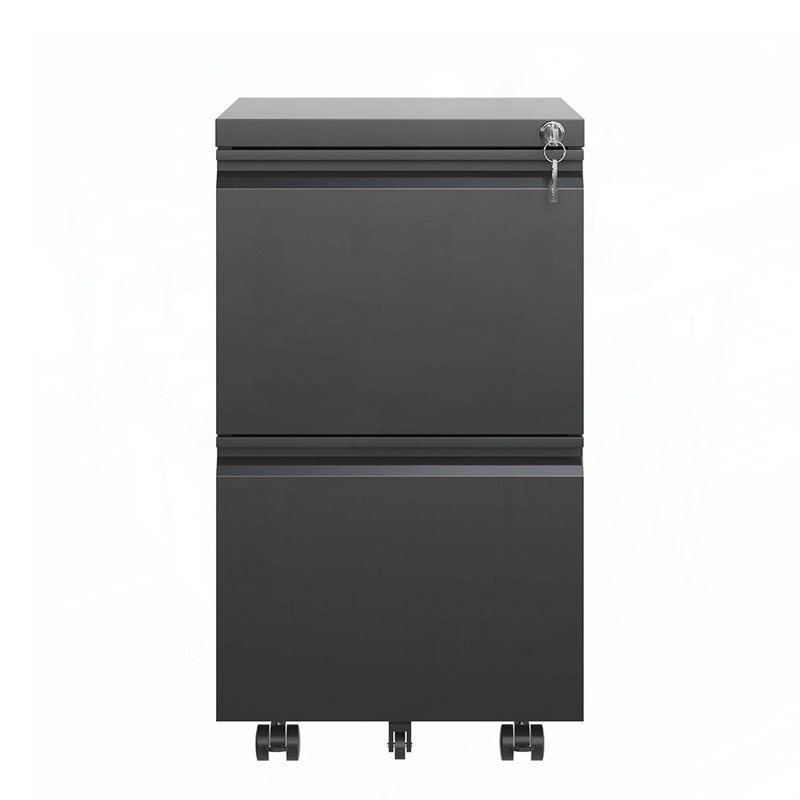 2 Drawer Metal Mobile File Cabinet with Lock, Rolling for Legal Letter A4, Fully Assembled Except Wheels