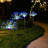 2 pcs Solar Firework Lights Trees-68149659