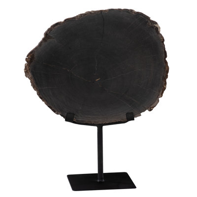 Elements Petrified Wood Slice On Stand