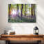 Bluebells and sunrise-535865495-535865494