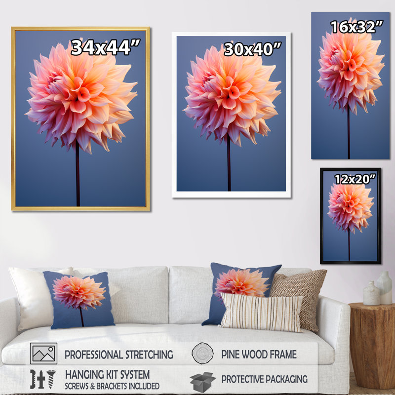 «Coral and Blue Dahlia Dance», reproduction sur toile, Cadre flottant noir, H 40 po x l 30 po x P 1,5 po
