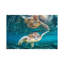 «Turtle Wink» par Jordan Robins - reproduction d'art-56050068-56050540-56052721