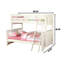 Hexham Kids Bunk Bed-340292574-340292572