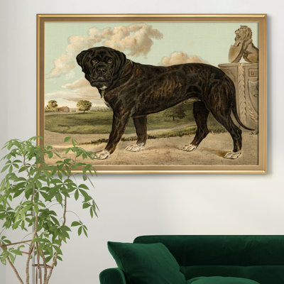 " Mastiff " Painting Print