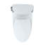 1.28 GPF (Water Efficient) Elongated One-Piece Toilet with High Efficiency Flush (Seat Included)-55636031