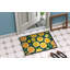 Paillasson 18 x 27-282089826
