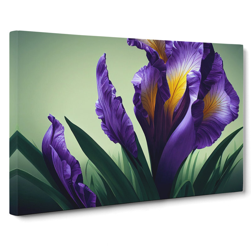 Pristine Iris Flowers - Wrapped Canvas Print, 35cm H x 50cm W x 3cm D