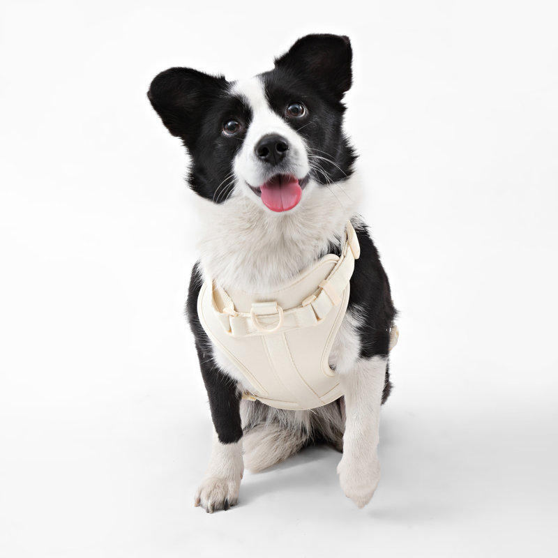 Harnais pour animal de compagnie Arlo, Amande, Grand