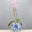 Handmade Ceramic Planter