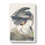 Great Blue Heron - Wrapped Canvas Painting-55366351