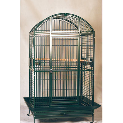 Cage XX XX