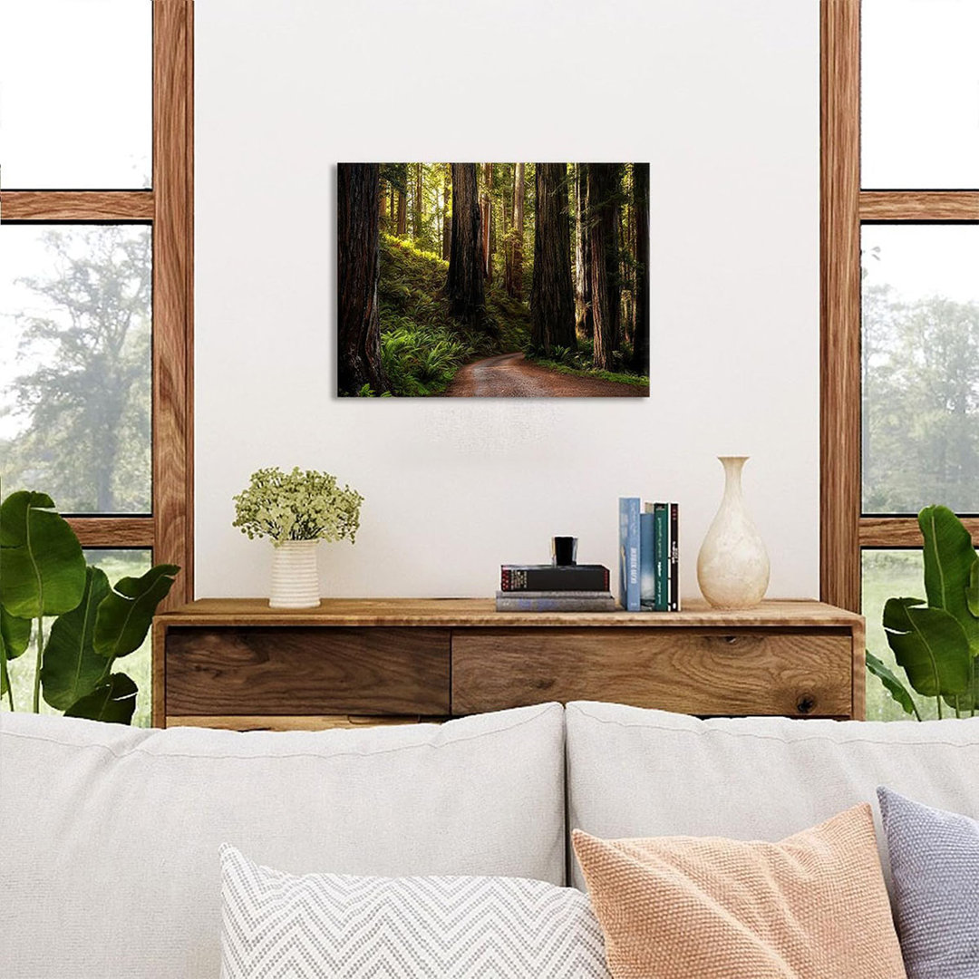 Vintage Redwood National Park Trees Wall Art Nature Mountain Landscape Pictures For Living Room Green Forest Posters Rustic Path Fern Botanical Painti