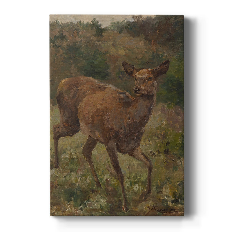 Imprimé animalier rétro LVI - galerie Cavas, H 18 po x l 12 po