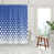 Bleuet des champs