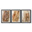 «Tree Texture Triptych I», reproduction encadrée de qualité supérieure - prête à être accrochée-69982062-69982059
