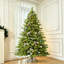 Arbre de Noël-129200231