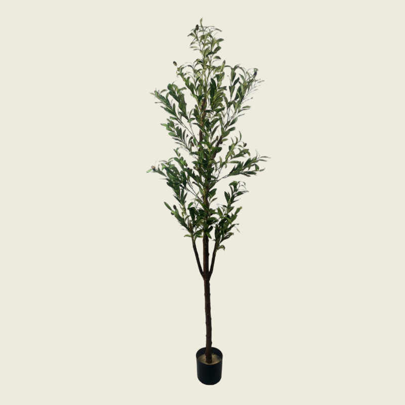 Forest Artificial Olive Tree for Office Home, Living Room, Patio Type B, 70.87" H x 19.69" W x 19.69" D