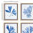 Indigo Seaweed Prints, Set of 4