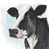 Cadre en bois naturel n'est pas disponible
